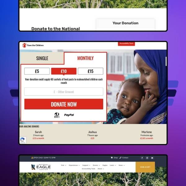 Showcase of the Best Calls to Action: Non-Profit & Charity Landing Pages